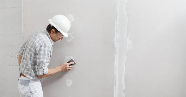Best Water Damage & Mold Remediation  in East Kapolei, HI