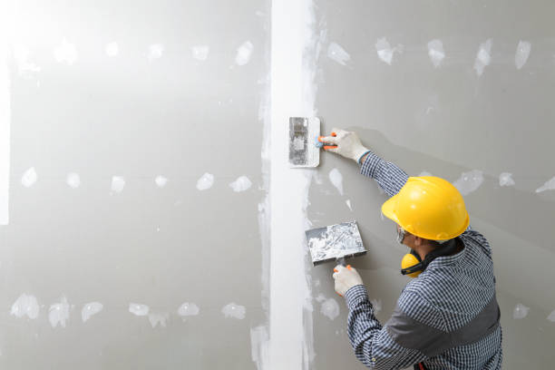 Best Asbestos and Lead Testing During Mold Inspection  in East Kapolei, HI