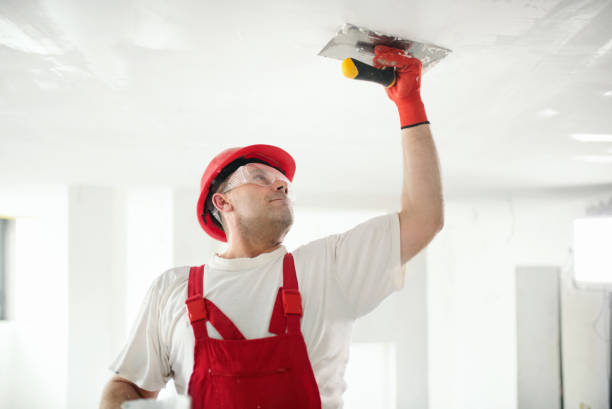 Best Mold-Related Health Consultation  in East Kapolei, HI