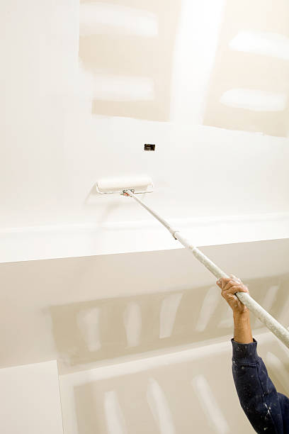 Best Mold Damage Restoration  in East Kapolei, HI