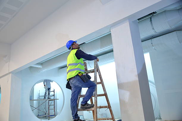 Best Mold Remediation for Vacation Homes  in East Kapolei, HI