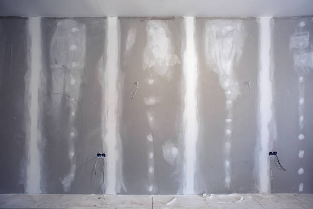Asbestos and Lead Testing During Mold Inspection in East Kapolei, HI